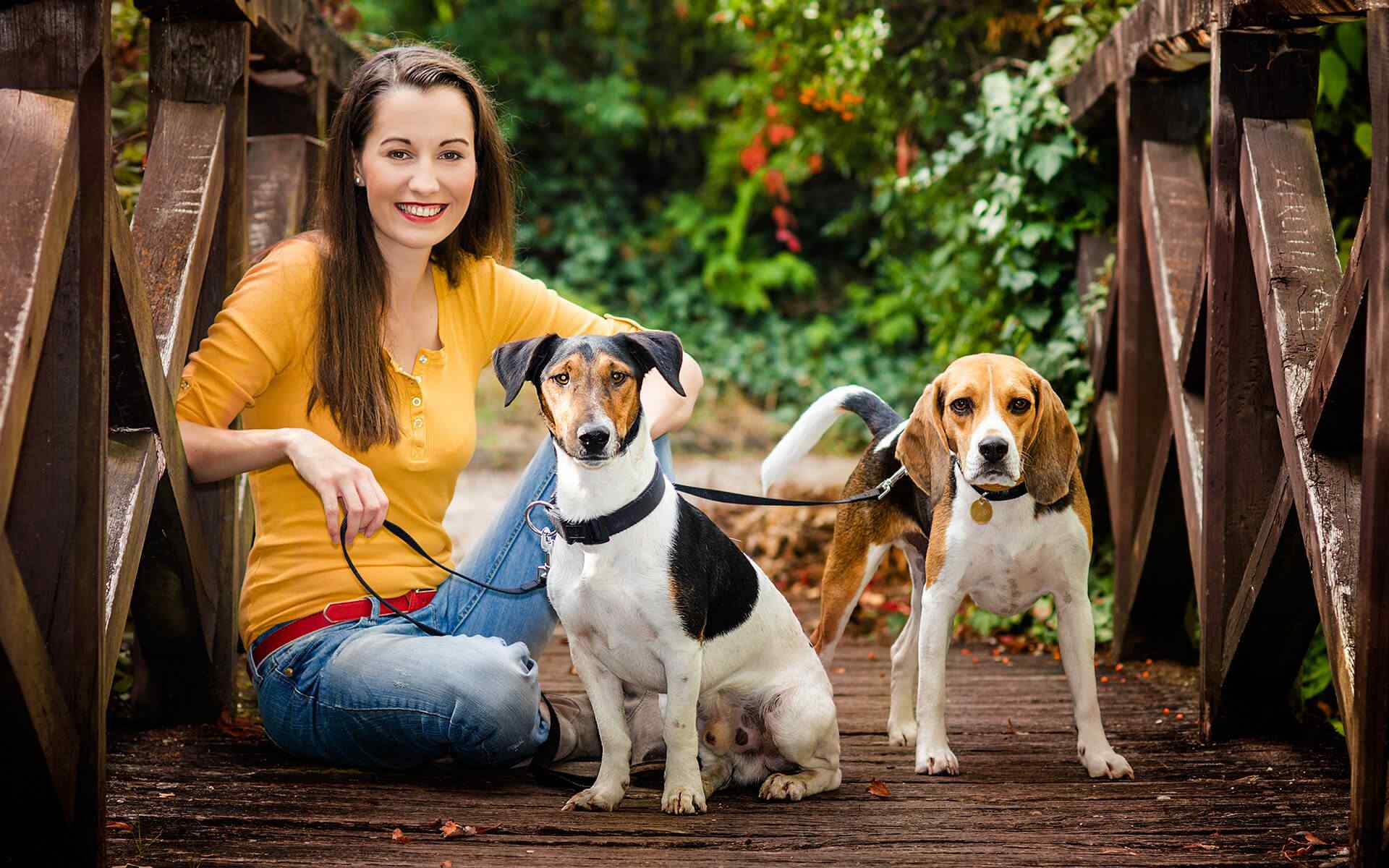 https://pawsland.uk/wp-content/uploads/2018/09/post_02.jpg