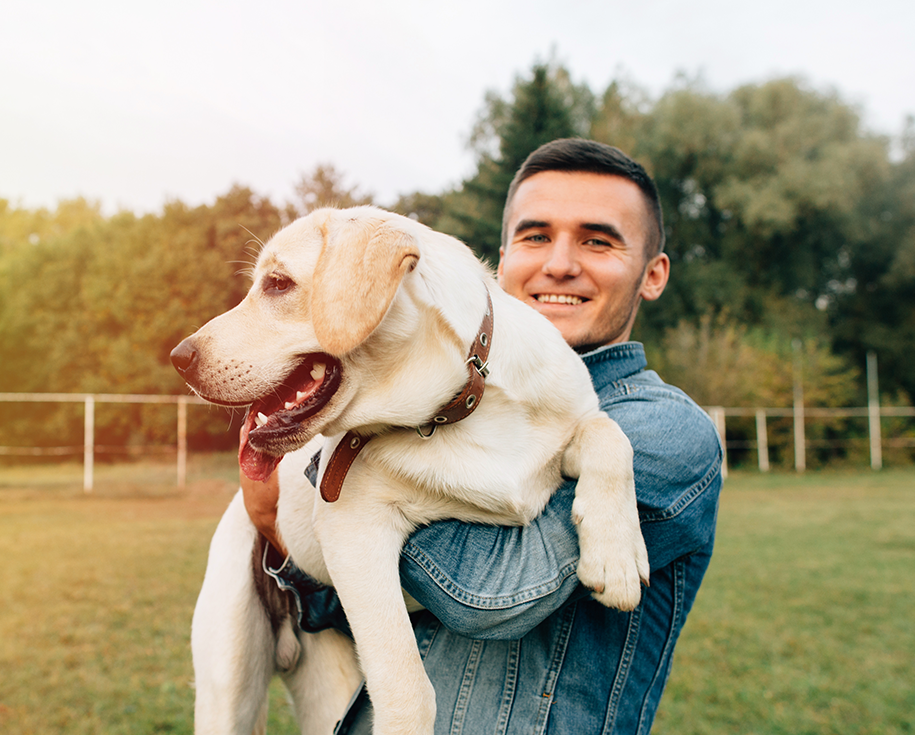hero_image_07 https://pawsland.uk/wp-content/uploads/2019/07/hero_image_07.png