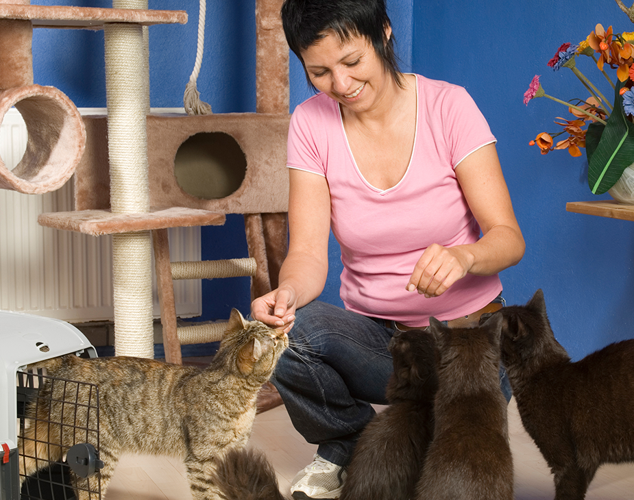 Pawsitive https://pawsland.uk/wp-content/uploads/2019/07/hero_image_09.png