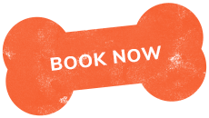 https://pawsland.uk/wp-content/uploads/2019/07/text_01.png