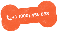 https://pawsland.uk/wp-content/uploads/2019/07/text_02.png