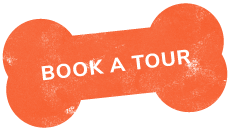 https://pawsland.uk/wp-content/uploads/2019/07/text_03.png