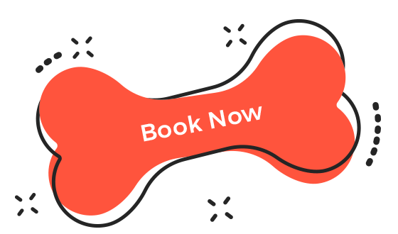 https://pawsland.uk/wp-content/uploads/2019/08/book_now.png