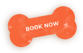 https://pawsland.uk/wp-content/uploads/2019/08/book_now_shadow.png