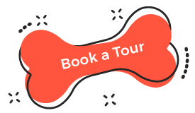 https://pawsland.uk/wp-content/uploads/2019/08/book_tour.png