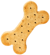 https://pawsland.uk/wp-content/uploads/2019/08/cookie.png