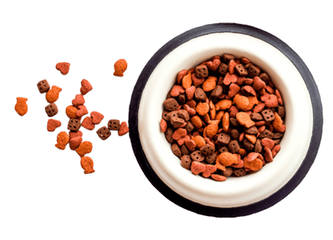https://pawsland.uk/wp-content/uploads/2019/08/floating_food.png