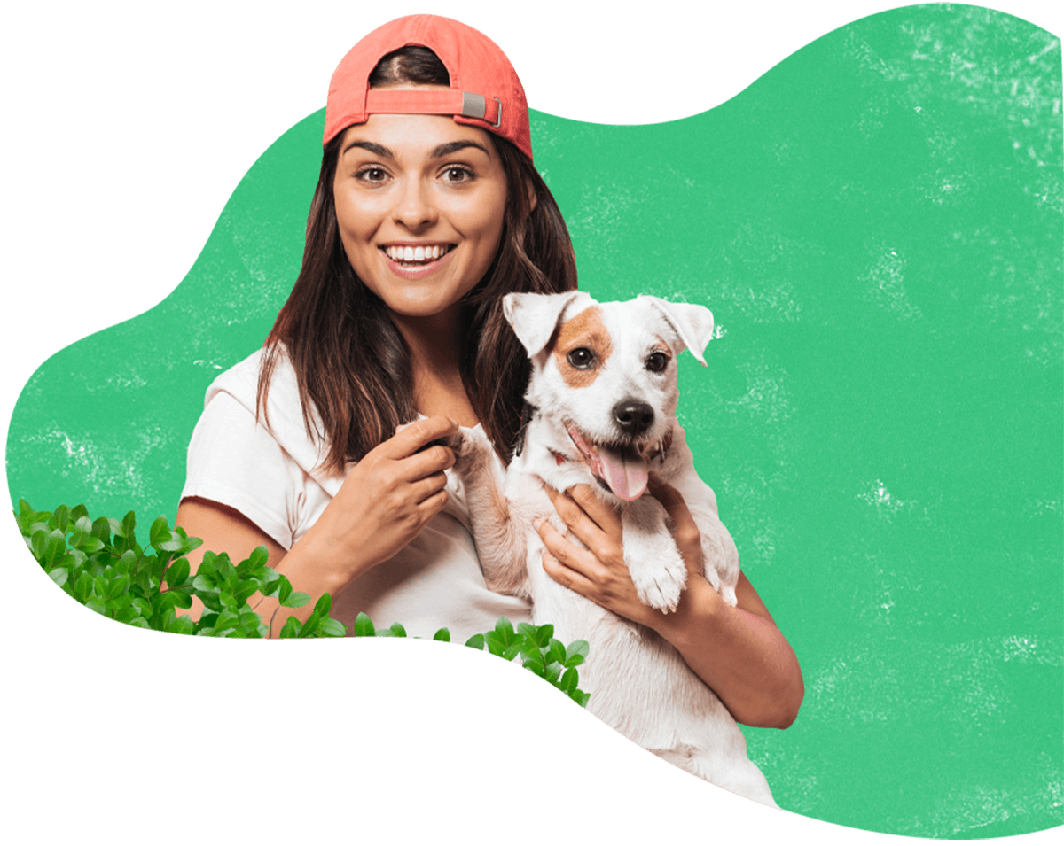 https://pawsland.uk/wp-content/uploads/2019/08/hero_image_13.png