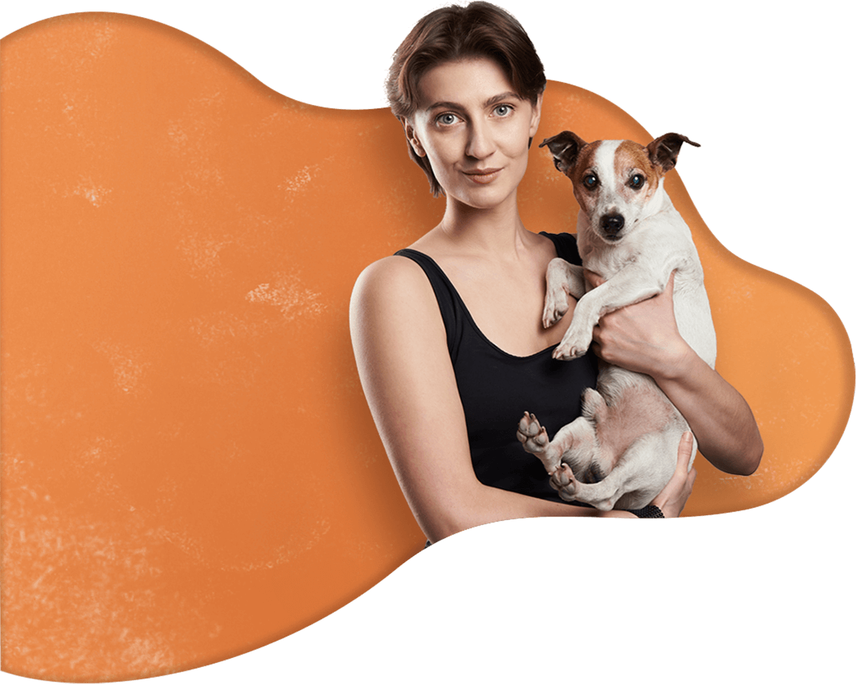 https://pawsland.uk/wp-content/uploads/2019/08/hero_image_16.png