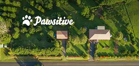 https://pawsland.uk/wp-content/uploads/2019/08/inner_image_maps_02.jpg