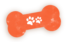 https://pawsland.uk/wp-content/uploads/2026/07/book_now_shadow.png